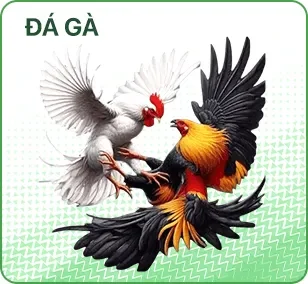 đá gà nk88